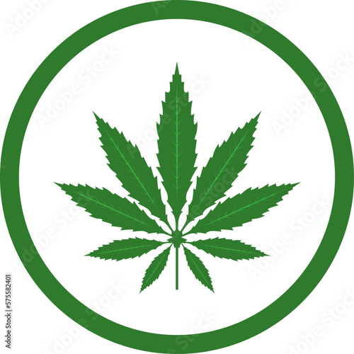 Cannabis leaf vector icon. Marijuana legalize symbol, marijuana or hemp icon, cannabis medical sign vector illustration.