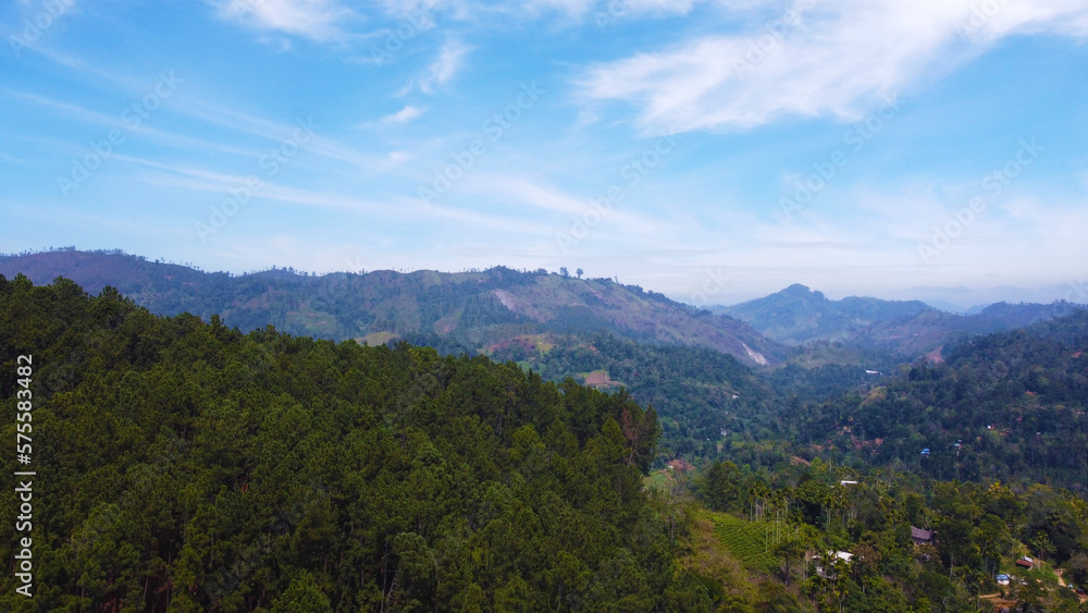 Aerial view of a tropical park and a forest with palm trees. Beautiful tropical wallpapers for tourism and advertising. Asian landscape, drone photo