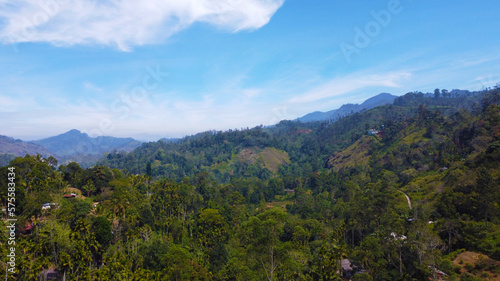 Aerial view of a tropical park and a forest with palm trees. Beautiful tropical wallpapers for tourism and advertising. Asian landscape, drone photo