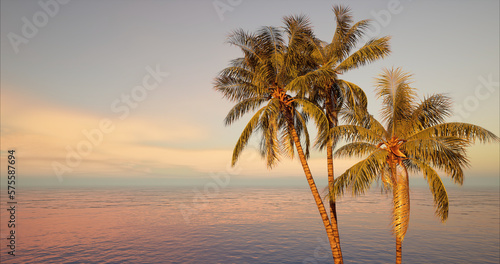 Fototapeta Naklejka Na Ścianę i Meble -  Image of coconut tree against the afternoon sky, the background for the design to welcome summer. 3D rendering 