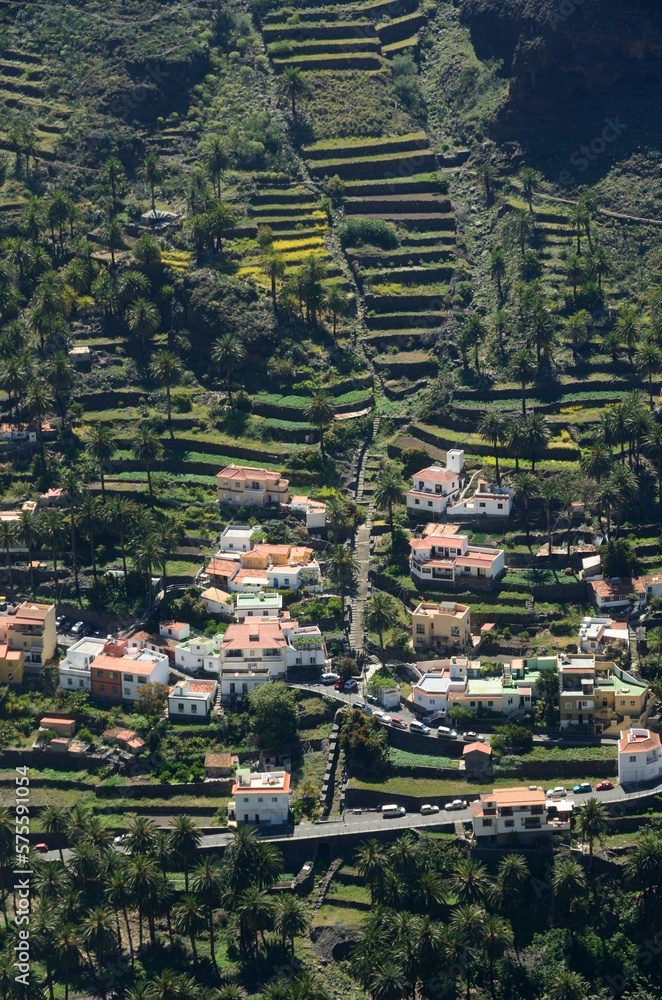 Bancales y palmeras en Valle Gran Rey, La Gomera 