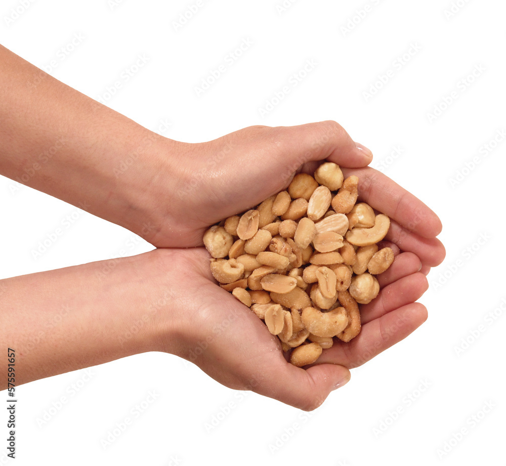 Hand holding peanuts isolated on transparent layered background. Hand holding peanuts isolated on transparent layered background.