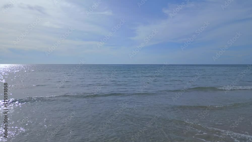 Through double palm trees, waves on beach. Spectacular aerial view flight drone Through double palm trees, waves on beach. Spectacular aerial view flight drone