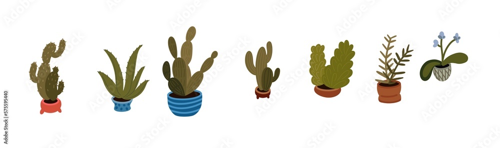 Home Plants in Pots Illustration Set: Indoor Houseplants, Cacti, and Green Decor with Flat Stickers Home Plants in Pots Illustration Set: Indoor Houseplants, Cacti, and Green Decor with Flat Stickers