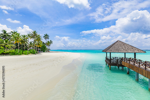 Best tranquil Maldives island, luxury over water villas resort aerial view. Beautiful sunny sky. Sea bay lagoon beach background. Summer vacation holiday. Paradise shore exotic landscape pristine blue