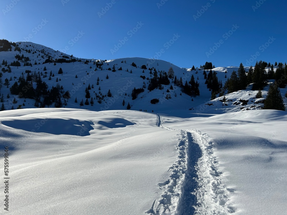 Wonderful winter hiking trails and traces in the fresh alpine snow cover of the Swiss Alps and over the tourist resort of Arosa - Canton of Grisons, Switzerland (Schweiz) Wonderful winter hiking trails and traces in the fresh alpine snow cover of the Swiss Alps and over the tourist resort of Arosa - Canton of Grisons, Switzerland (Schweiz)