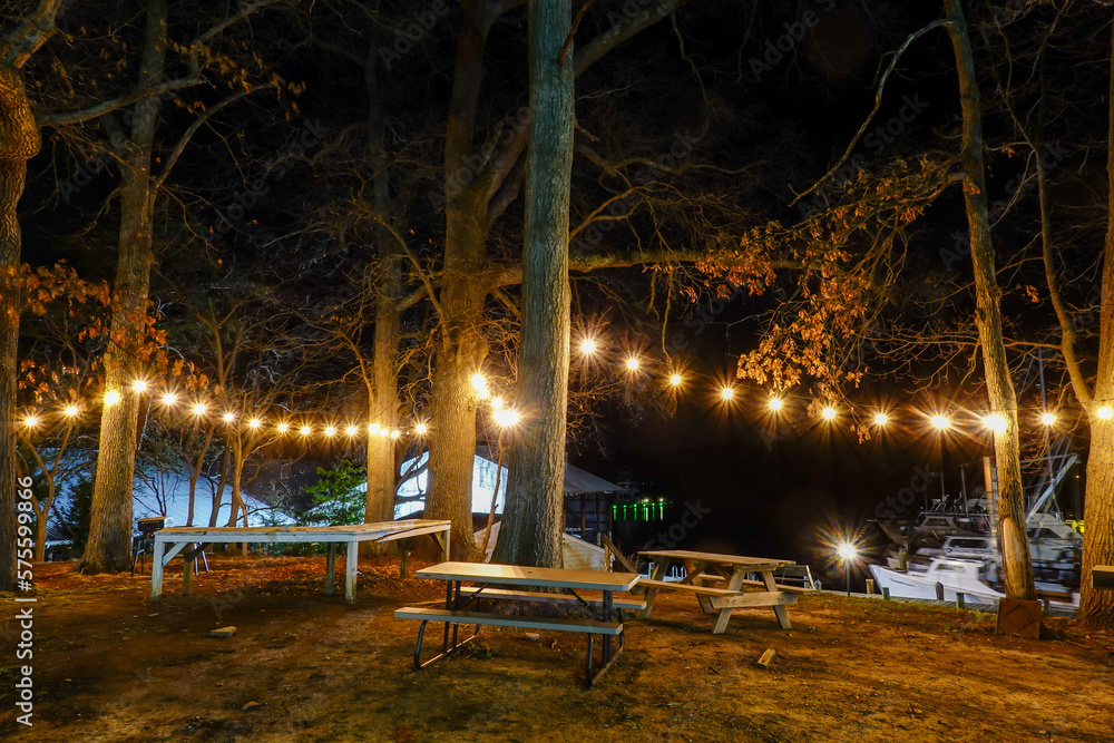 Solomons, Maryland USA Light garlands at night in a park - obrazy, fototapety, plakaty 