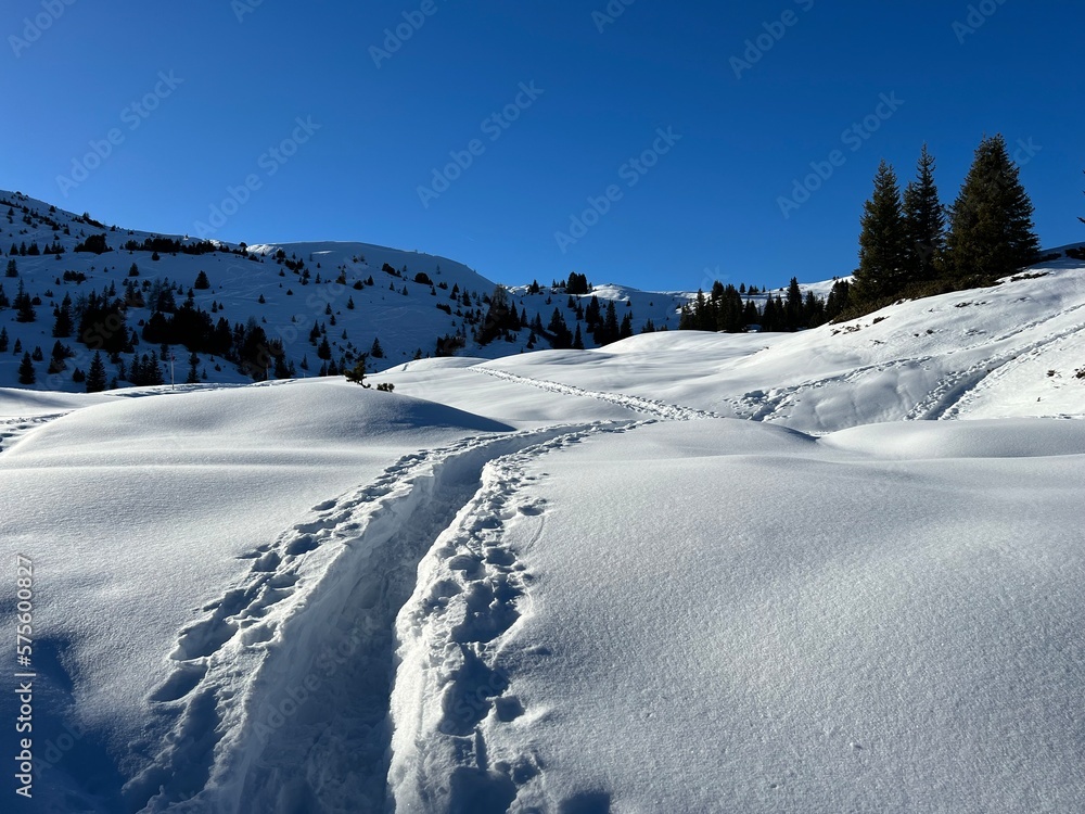 Wonderful winter hiking trails and traces in the fresh alpine snow cover of the Swiss Alps and over the tourist resort of Arosa - Canton of Grisons, Switzerland (Schweiz) Wonderful winter hiking trails and traces in the fresh alpine snow cover of the Swiss Alps and over the tourist resort of Arosa - Canton of Grisons, Switzerland (Schweiz)