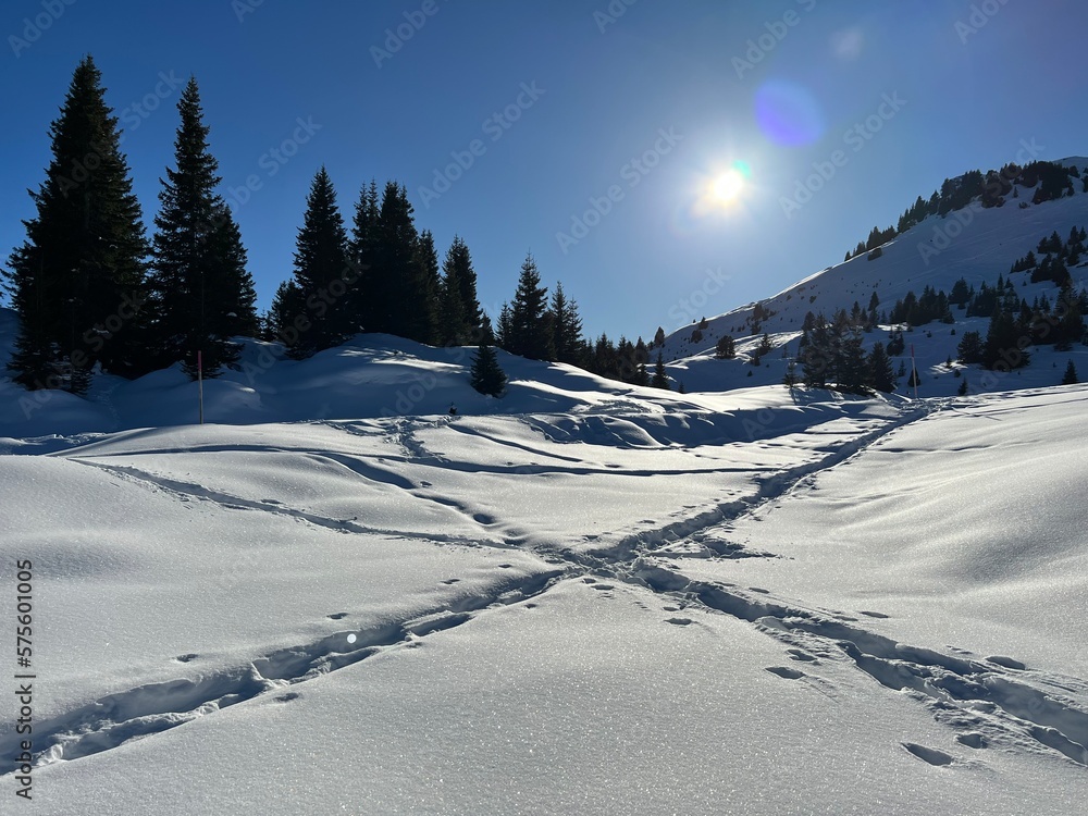 Wonderful winter hiking trails and traces in the fresh alpine snow cover of the Swiss Alps and over the tourist resort of Arosa - Canton of Grisons, Switzerland (Schweiz) Wonderful winter hiking trails and traces in the fresh alpine snow cover of the Swiss Alps and over the tourist resort of Arosa - Canton of Grisons, Switzerland (Schweiz)
