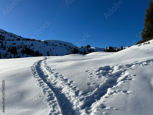 Wonderful winter hiking trails and traces in the fresh alpine snow cover of the Swiss Alps and over the tourist resort of Arosa - Canton of Grisons, Switzerland (Schweiz)