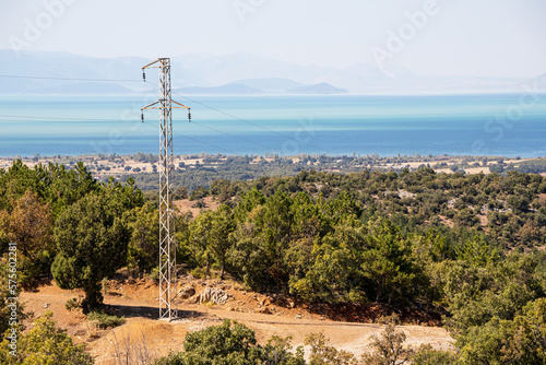An electric pole with lines and cables for transmitting energy to consumers in wildlife reserve