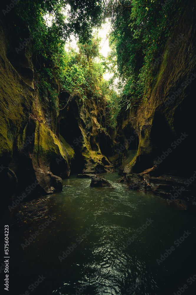 Rasinforest canyon Beji Guwang, Bali, Indonesia Rasinforest canyon Beji Guwang, Bali, Indonesia