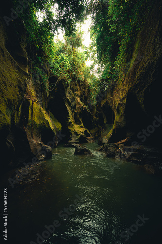 Rasinforest canyon Beji Guwang  Bali  Indonesia