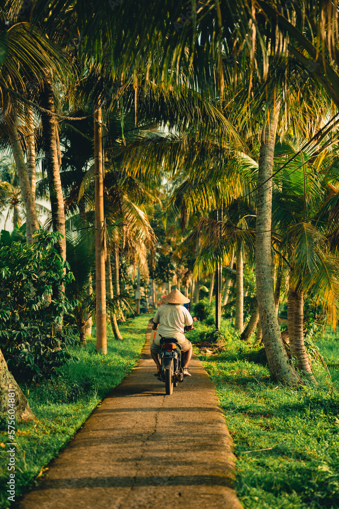 Motorcyclist durin sunrise in Ubud, Bali, Indonesia - obrazy, fototapety, plakaty 