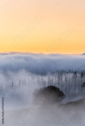 Misty morning with orange sky and clouds