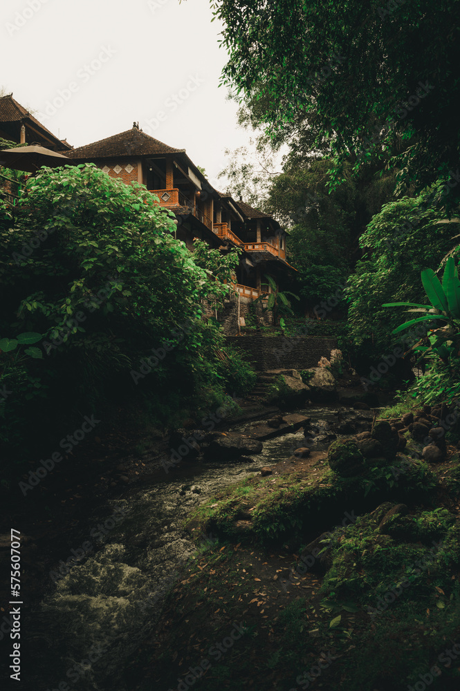 Buildings overlooking a river in Ubud, Bali, Indonesia