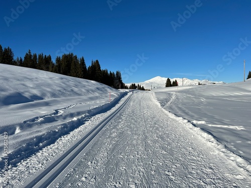 Excellently arranged and cleaned winter trails for walking, hiking, sports and recreation in the area of the Swiss tourist winter resort of Arosa - Canton of Grisons, Switzerland (Schweiz)