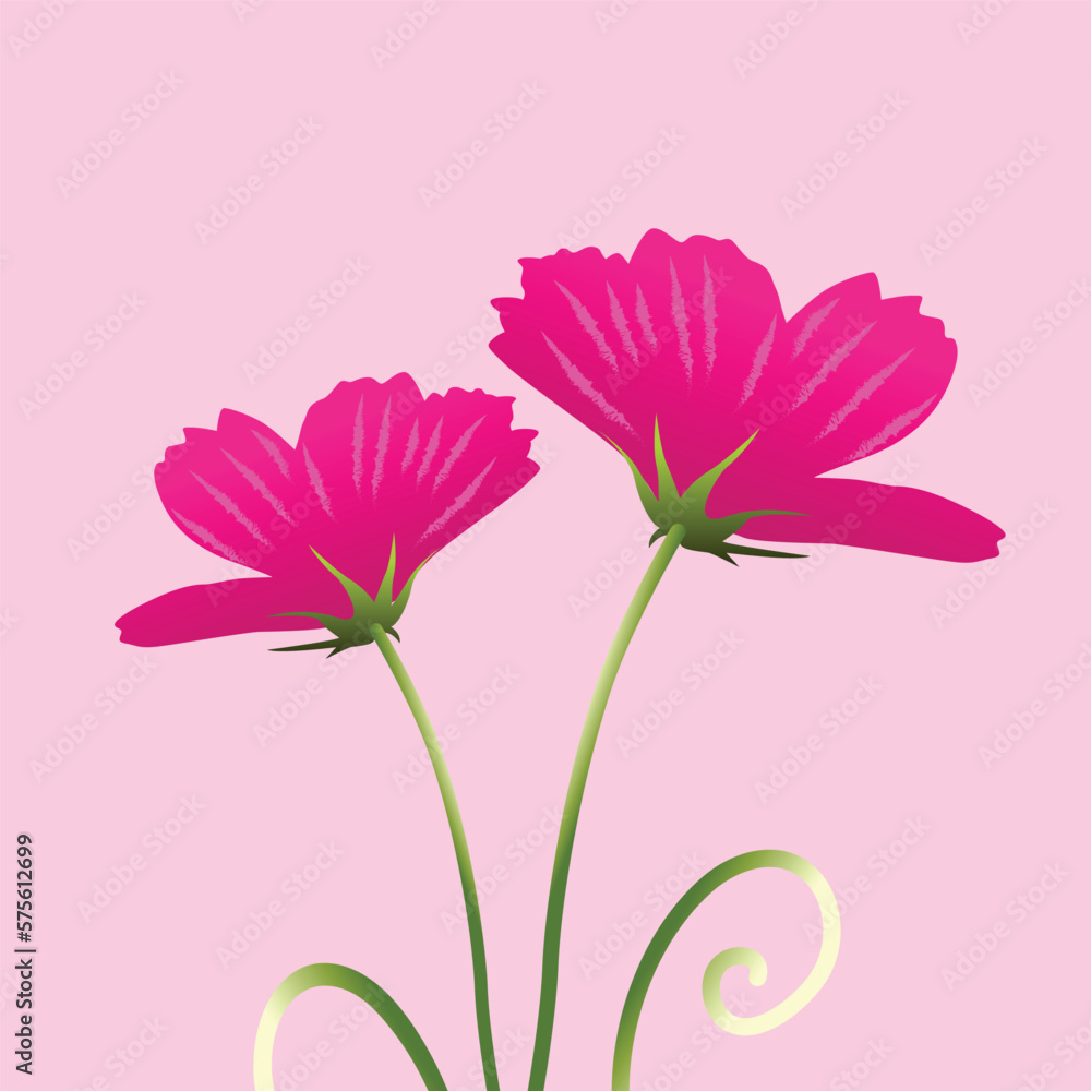 Pink color Flower vector illustration for spring. Beautiful flower art. Hand draw flower illustration.