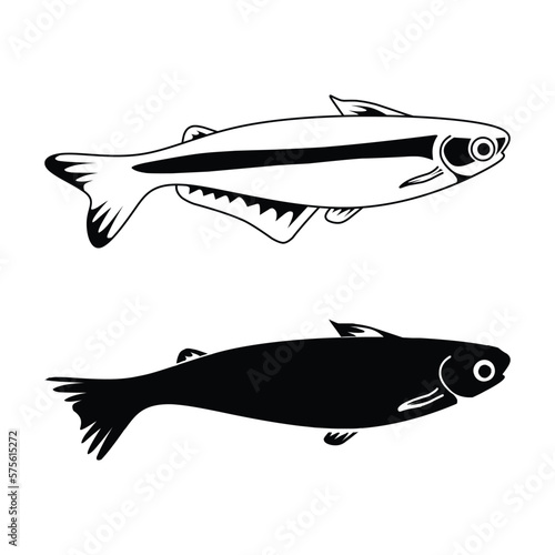 black and white catfish vector illustration