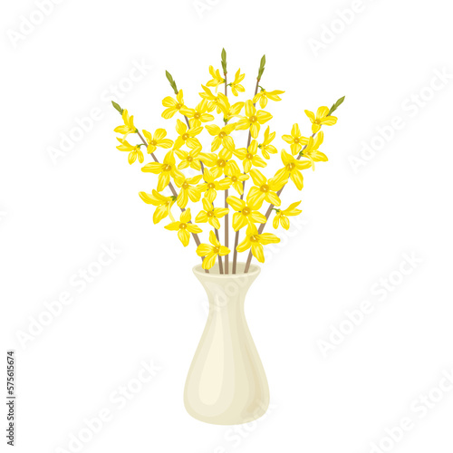 Blooming golden bells. Forsythia  yellow flowers in white ceramic vase. Vector cartoon illustration of spring bouquet.