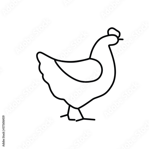 fat-bodied chicken with wings and no beard