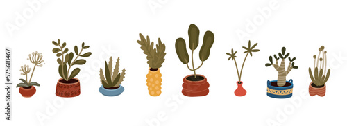 home plants in pots vector illustration set. Interior houseplants in planters and flowerpots. Home indoor green decor. cacti, foliage. Flat diary and notebook stickers 