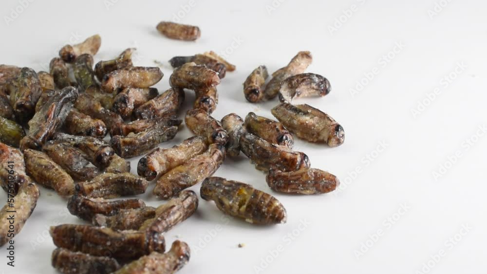 High protein snack - roasted crickets with salt High protein snack - roasted crickets with salt