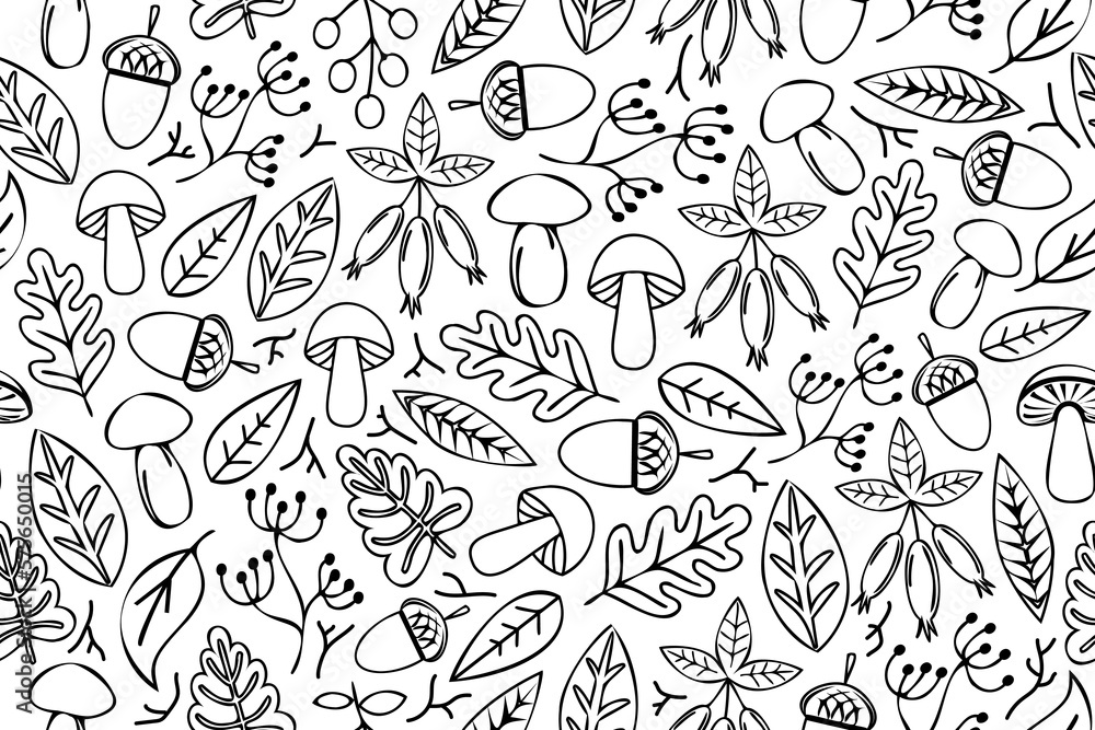 Line art nature design elements. Forest elements outline design set. Mushrooms, acorns, leaves, branches and other illustrations. Line art nature design elements. Forest elements outline design set. Mushrooms, acorns, leaves, branches and other illustrations.