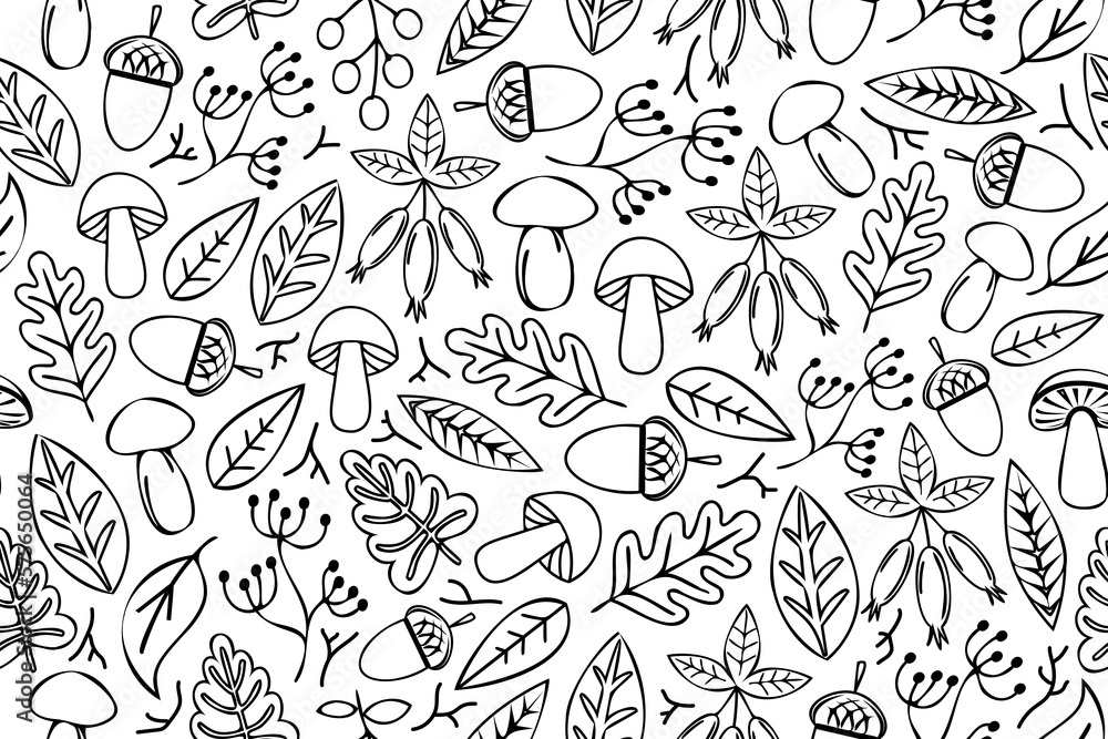 Line art nature design elements. Forest elements outline design set. Mushrooms, acorns, leaves, branches and other illustrations. Line art nature design elements. Forest elements outline design set. Mushrooms, acorns, leaves, branches and other illustrations.