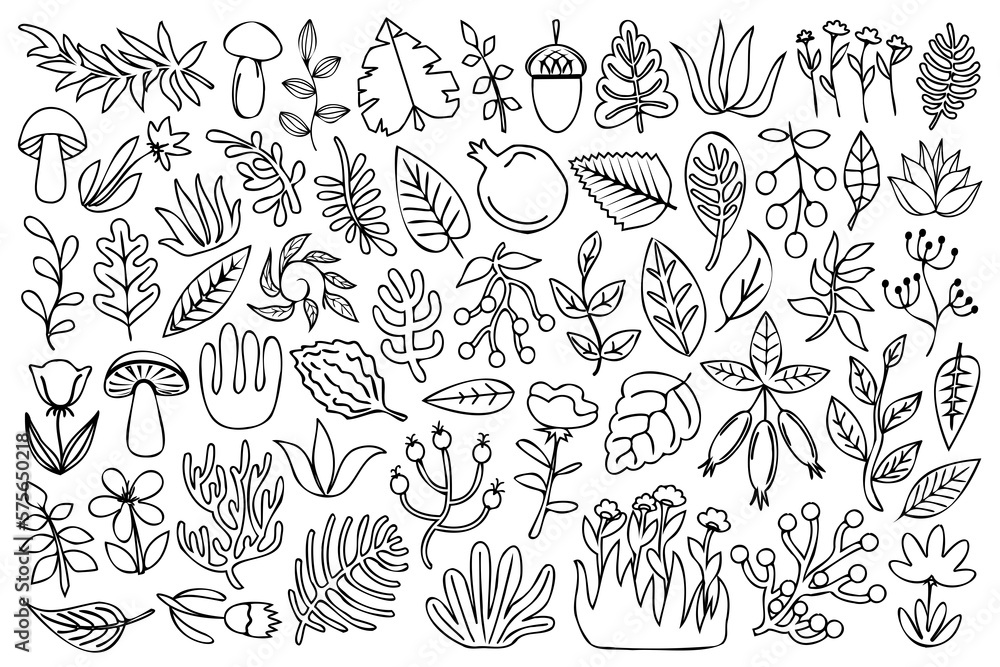 Line art natural design elements collection. Decorative nature design elements set. Outline grass, mushrooms, plants, flowers, leaves, berries and other wild natural elements. Line art natural design elements collection. Decorative nature design elements set. Outline grass, mushrooms, plants, flowers, leaves, berries and other wild natural elements.