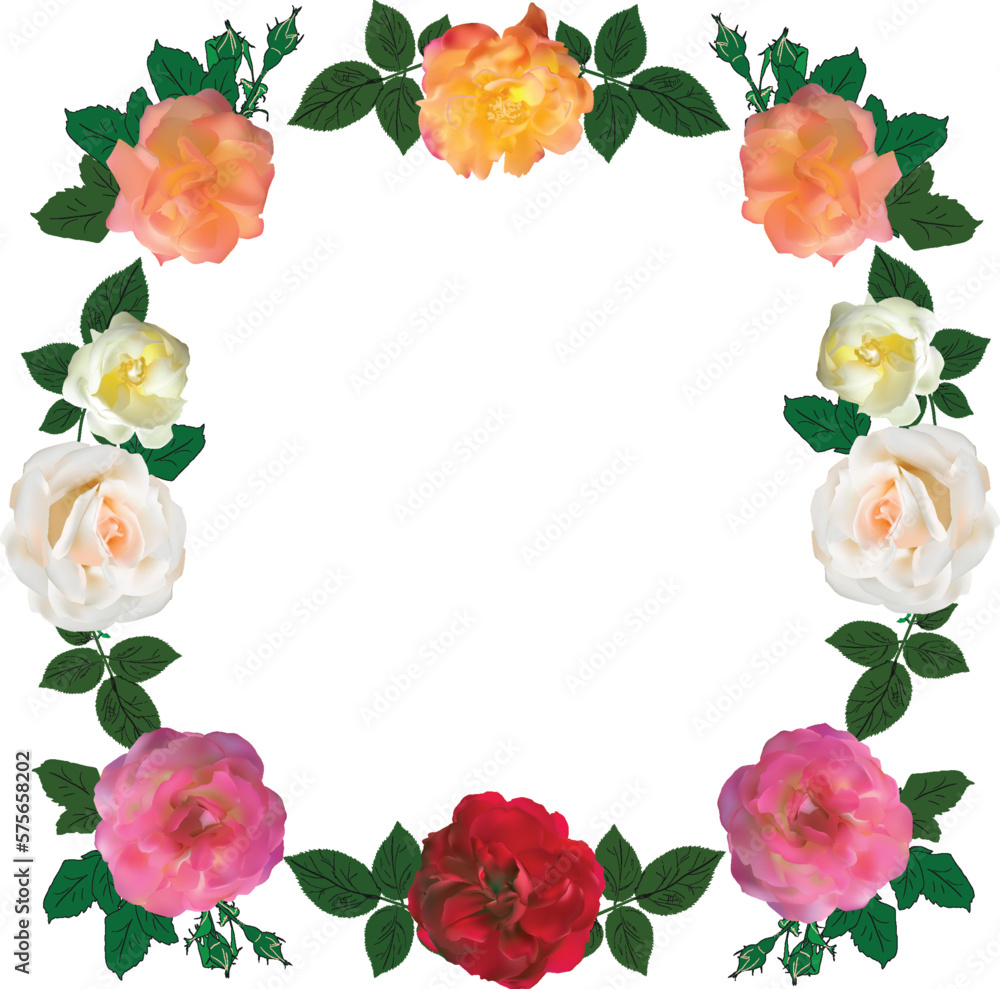 frame from ten rose flowers isolated on white frame from ten rose flowers isolated on white