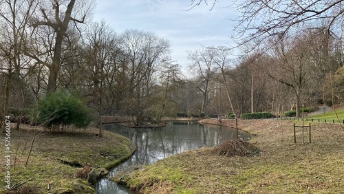 La végétation autour des étangs en hiver au parc Josaphat à Schaerbeek 