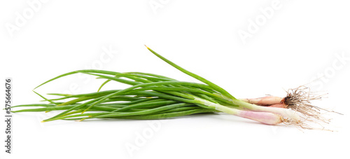 Green onion leaves.