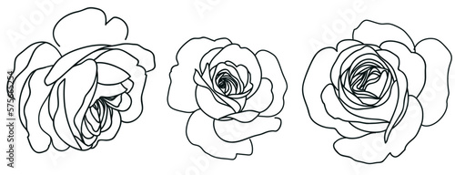 Set of decorative line art rose isolated on white. Vintage flowers. Vector stock illustration