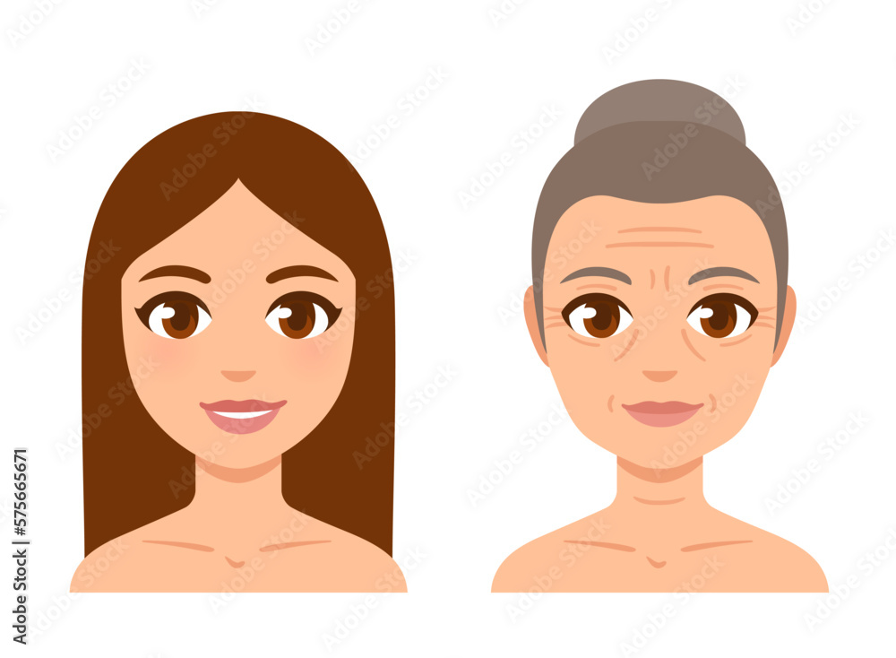 Young and older woman face illustration Young and older woman face illustration