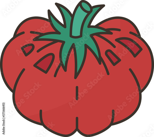 tomato  icon