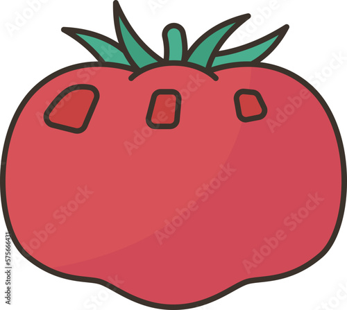tomato  icon