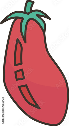 tomato  icon