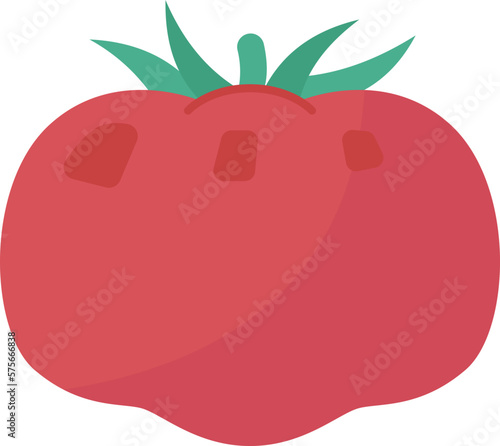 tomato  icon