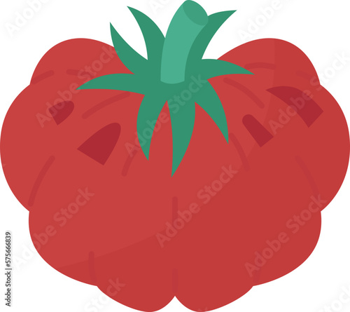 tomato  icon