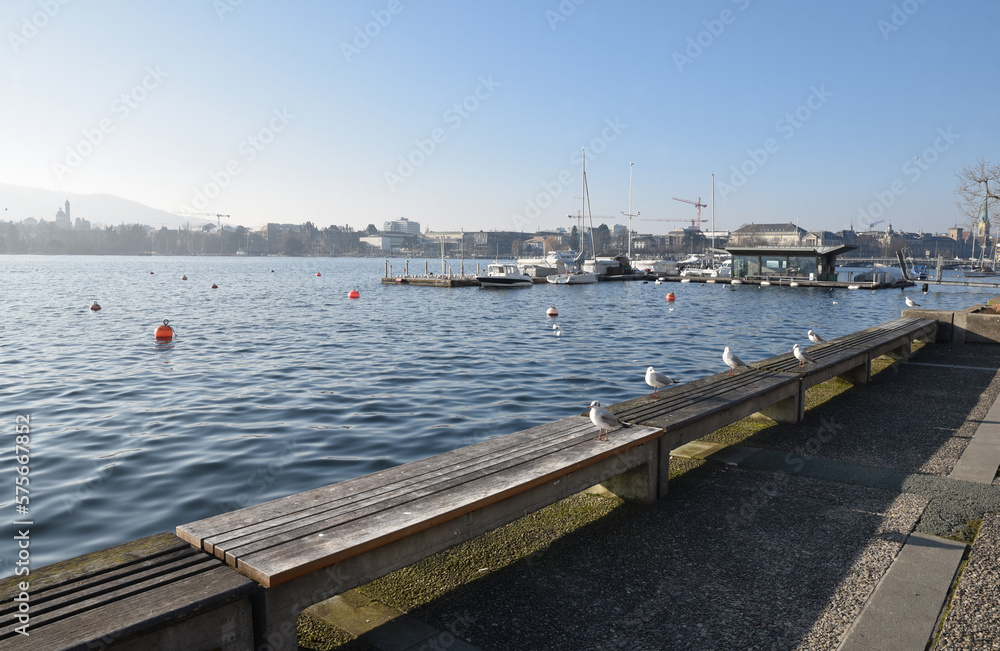 Obraz premium Quai du lac de Zurich en hiver. Suisse