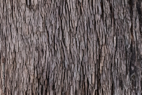 The Beauty of Natural Wood Texture
