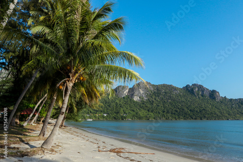 Beautiful White Sandy Beach with Coconut Palms in Thailand