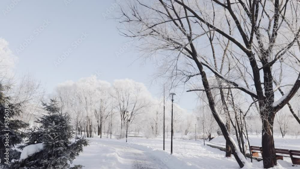 Snow-covered path in the city park