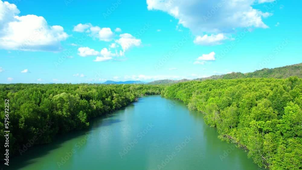 River through dense mangrove forests, teeming with life. An ethereal blend of blue and green. The sky and mountains in the background. Oxygen and ecosystem concepts. Nature landscape. Drone.
River through dense mangrove forests, teeming with life. An ethereal blend of blue and green. The sky and mountains in the background. Oxygen and ecosystem concepts. Nature landscape. Drone.