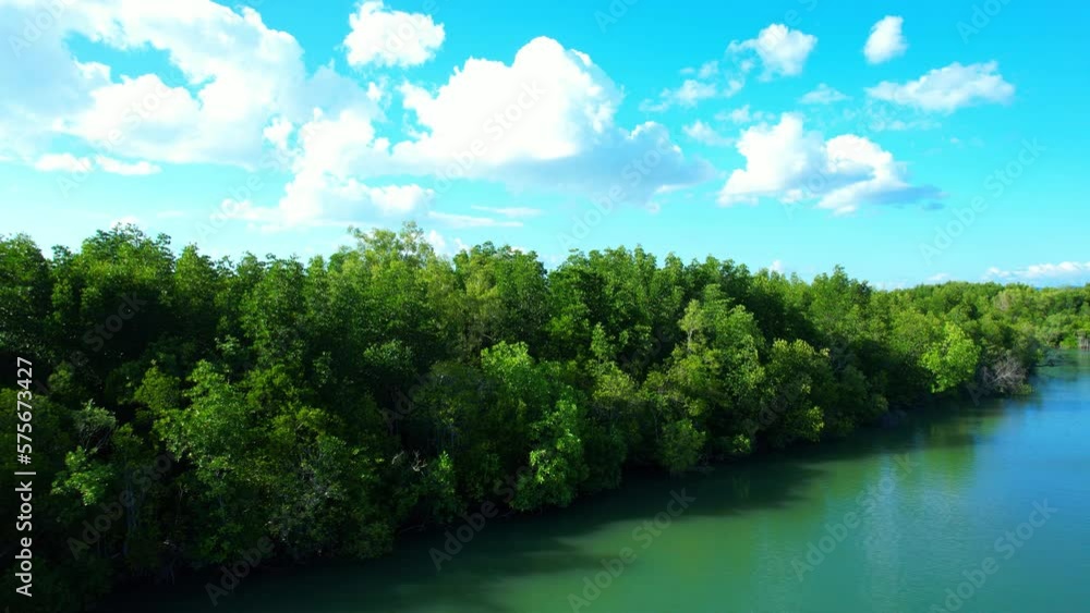 A river winds its way through lush mangrove forests. Majestic mountains tower in the background as the vast blue sky stretches overhead. Travel and Nature concept. Amazing high quality stock video
A river winds its way through lush mangrove forests. Majestic mountains tower in the background as the vast blue sky stretches overhead. Travel and Nature concept. Amazing high quality stock video