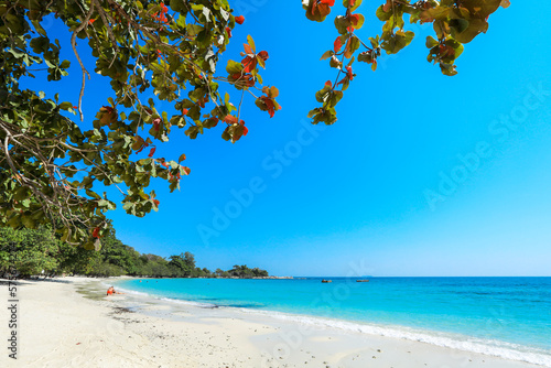 Fototapeta Naklejka Na Ścianę i Meble -  Beautiful White Sandy Beach on the Samet Island, Thailand