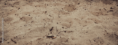 Autumn sand background, Footmarks 