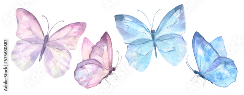 Photography A set of delicate cute pink and blue butterflies