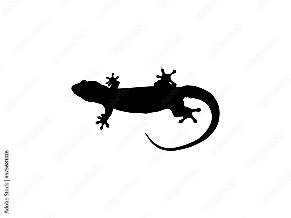 House Lizard also called House Gecko or Gekkonidae Silhouette for Art Illustration, Logo, Pictogram or Graphic Design Element. Vector Illustration House Lizard also called House Gecko or Gekkonidae Silhouette for Art Illustration, Logo, Pictogram or Graphic Design Element. Vector Illustration